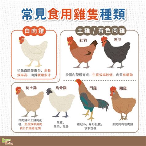 雞有幾種